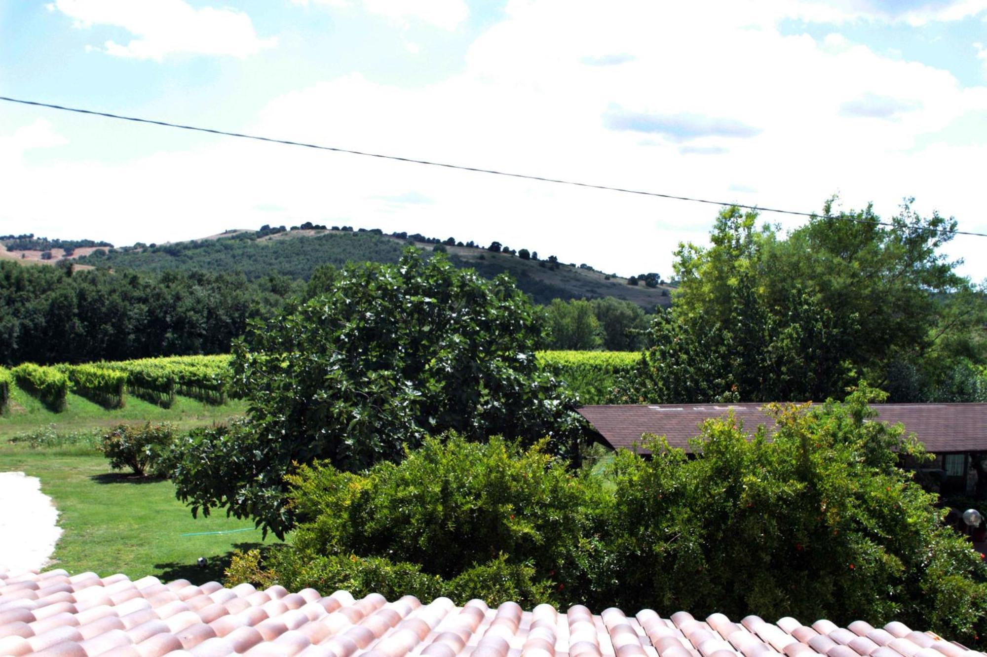 Agriturismo La Vecchia Quercia Montemerano Εξωτερικό φωτογραφία