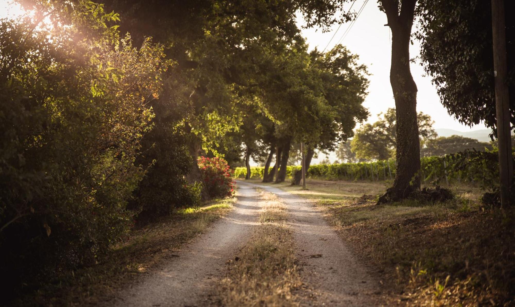 Agriturismo La Vecchia Quercia Montemerano Εξωτερικό φωτογραφία